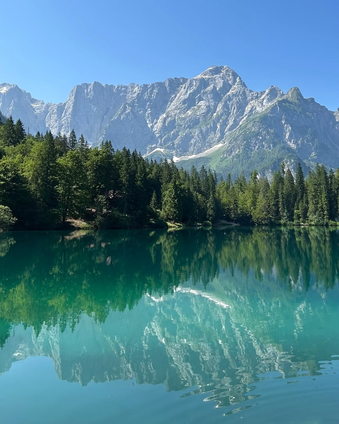 Užaljenost